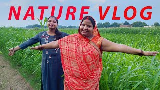 आइए आप सभी को अपना खेत घुमाते है / Village Farm Tour in India / Village Kadhai Family Vlog
