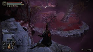 ELDEN RING Bird trick, but smart bird screenshot 5