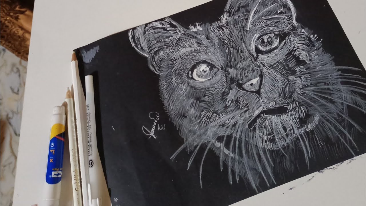 how to draw cat | cat on black paper || drawing tutorial - YouTube