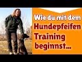 Hundepfeife Training ► Wie du mit dem Hundepfeifen Training beginnst ► Hundetraining Tipps