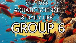 [2020] STU 1033 AQUATIC SCIENCE AND DAILY LIFE  BY GROUP 6