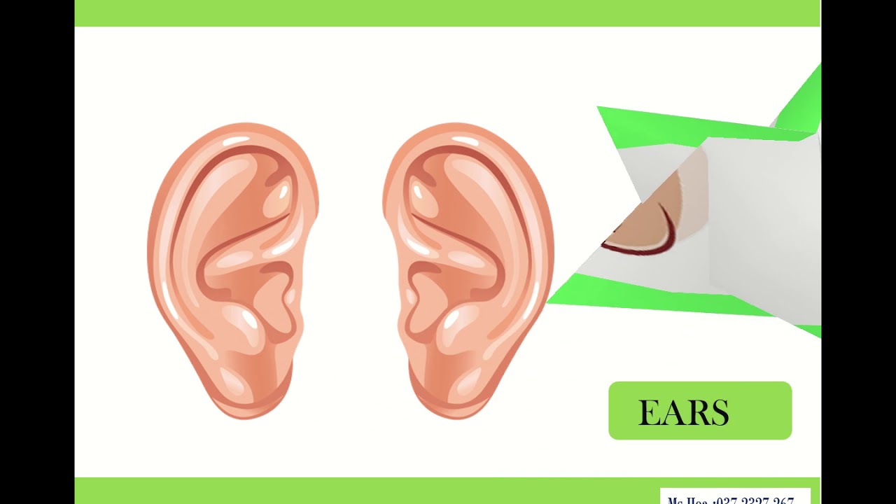 body parts 2 - YouTube