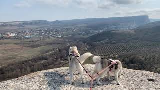 MiaNola on Crocodile mountain, Crimea