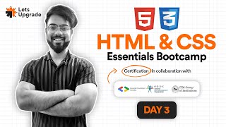 Day 3 | Basic CSS and Animation | HTML & CSS Essentials Bootcamp (5 Days)