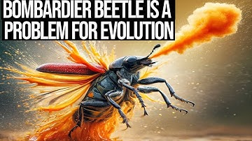 Irreducible Complexity - Bombardier Beetle A Problem For Evolution