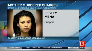 Teen charged as adult in fatal stabbing