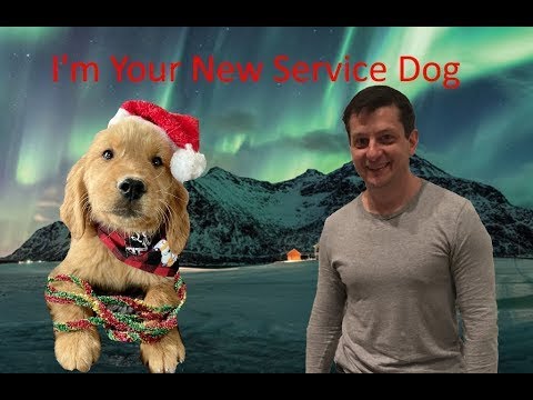 Philanthropist Pays For Channel Subscribers Service Dog