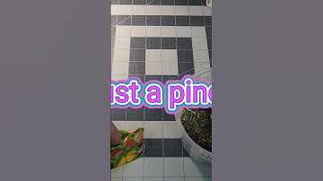 Entice. the kitty with catnip toys #filmora #sewing #filmoramobile #diy #myscrappylife