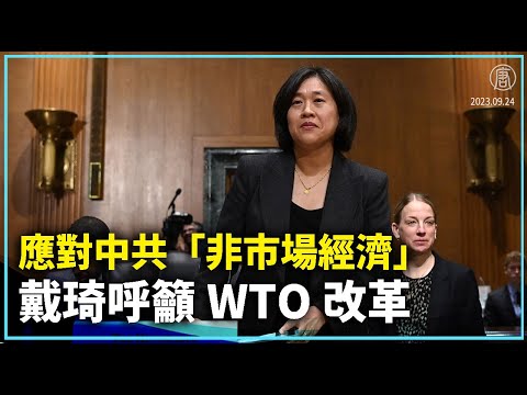 应对中共“非市场经济” 戴琦呼吁WTO改革｜ #新唐人全球新闻
