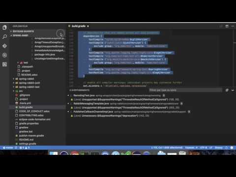 Visual Studio Code Java 0.0.8