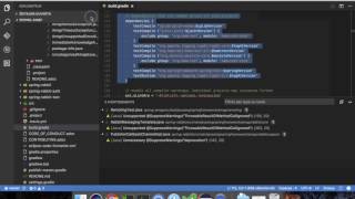 Visual Studio Code Java 0.0.8