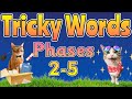 Video Tutorial Quiz