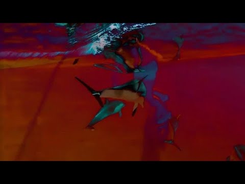 COBRAH - WET // LET'S RIDE