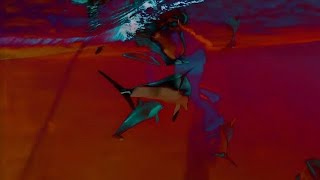 Watch Cobrah Wet video