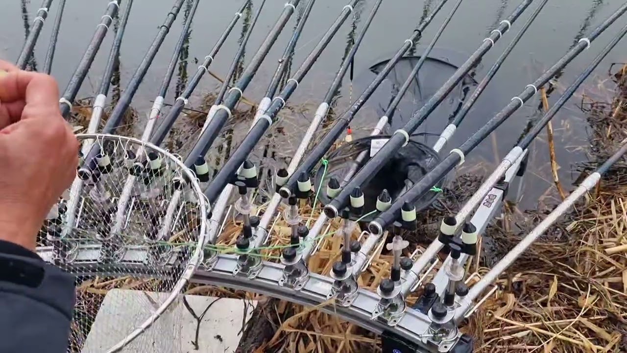 위천붕어낚시흐린날낮에나온다2026년 3월 2일