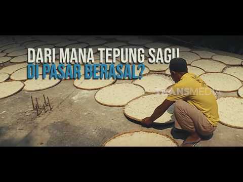 Dari Mana Tepung Sagu Di Pasar Berasal? | SECRET STORY (12/10/26)