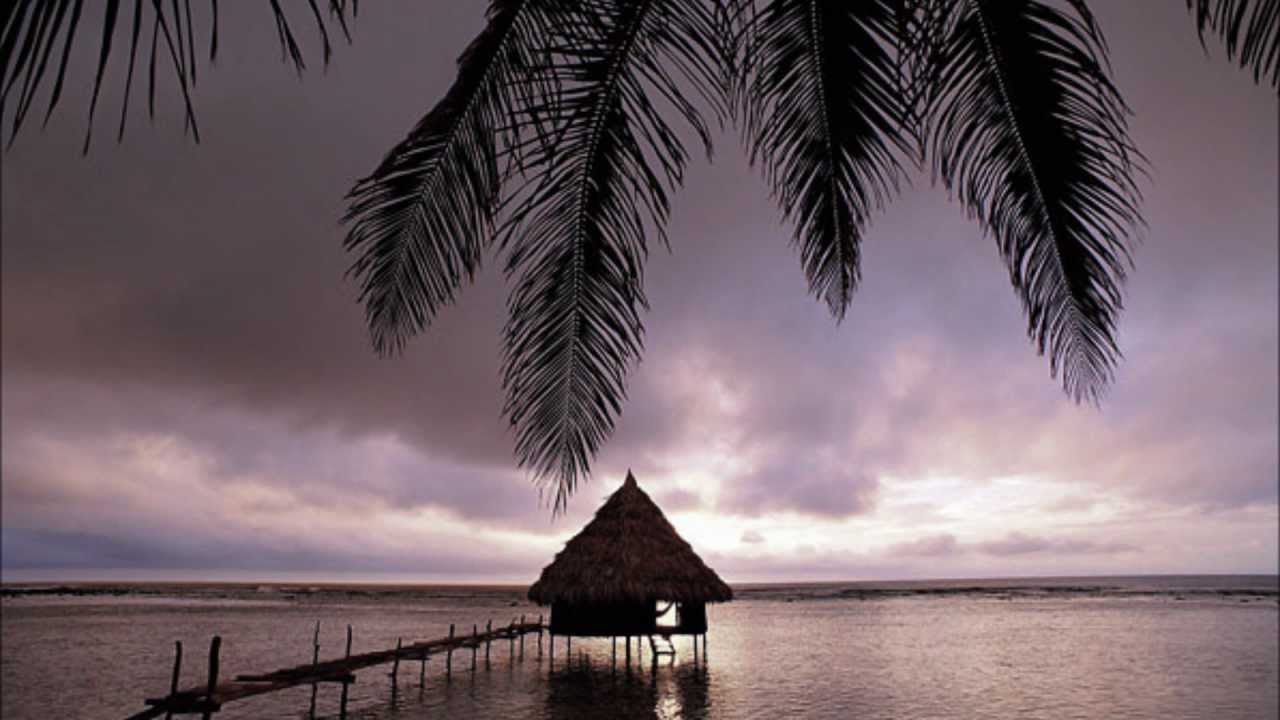 Punta Rebels - The wine