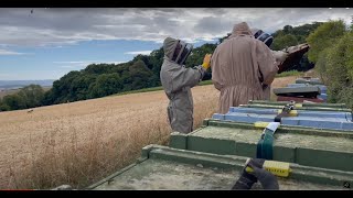 Where our Devon Honey and Beeswax comes from, and how its produced