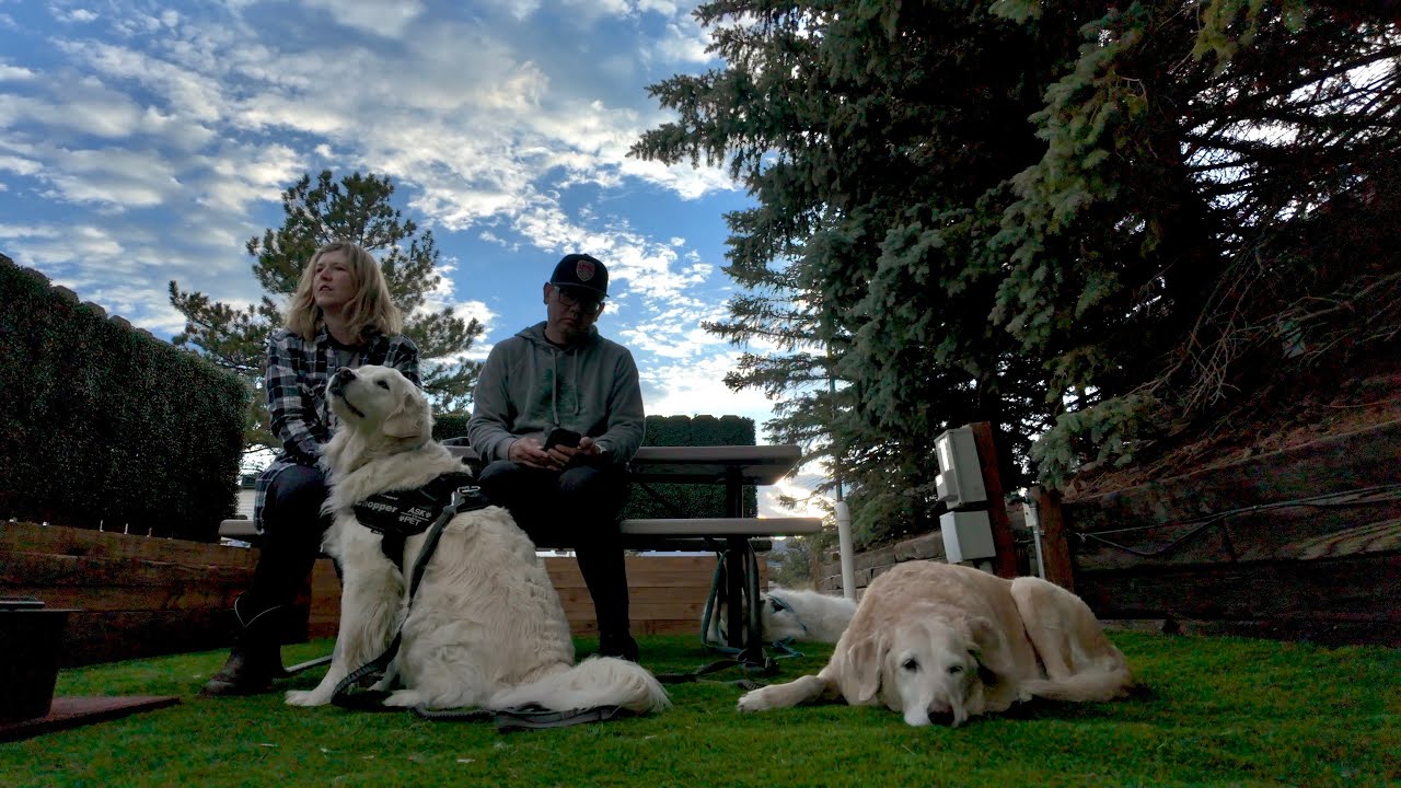 A relaxing koa day with our 3 Big Dogs in Estes Park.