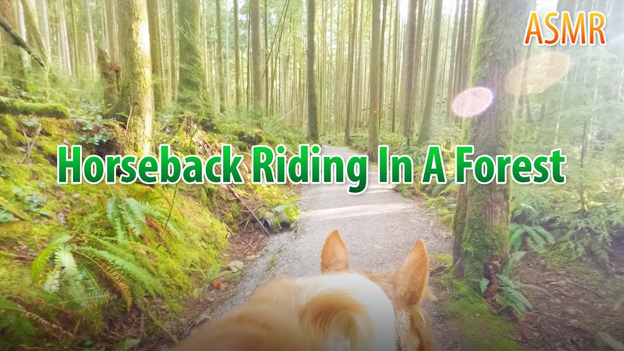 ASMR Horseback Riding In A Forest