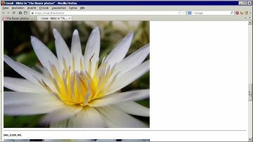 Downsize Your Photos for Faster E-Mails! Use Freeware XnView (Resembles IrfanView)