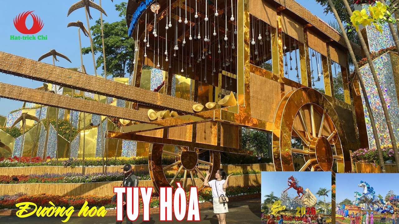 CÙNG NGẮM ĐƯỜNG HOA TẾT TUY HÒA | XUÂN BÍNH NGỌ 2026
