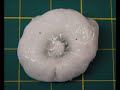 Pacific Northwest Severe Weather Awareness Week: Strong Wind, Hail, and Lightning.