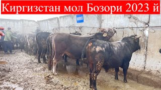 Киргистан мол бозори  албатта Коринн 2023