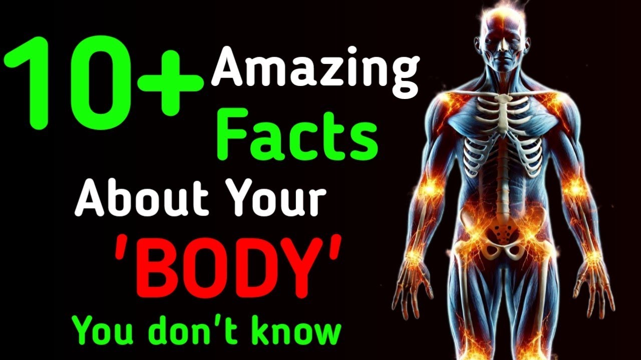 10+ Facts About Human Body |Amazing Body Facts| #youtube #facts - YouTube