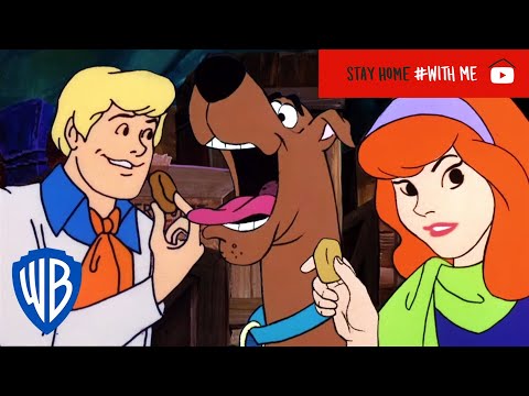 Detailed Guide on Scooby Doo, What Does Scooby Doo's Collar Say | PetThings