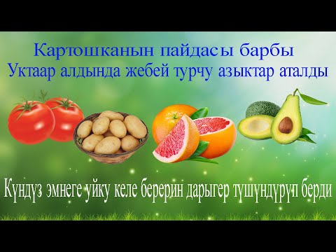 Video: Мышыктардагы кандагы ашыкча кальций