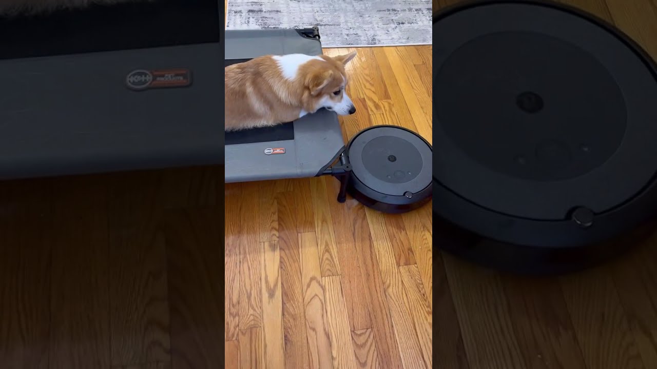 The attack on Roomba 