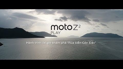Hành trình 14 giờ khám phá "Rùa Biển Côn Đảo"