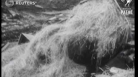 Workers rescued after mine collapse (1950)