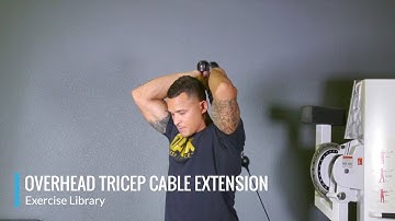 Overhead Tricep Cable Extension - OPEX Exercise Library