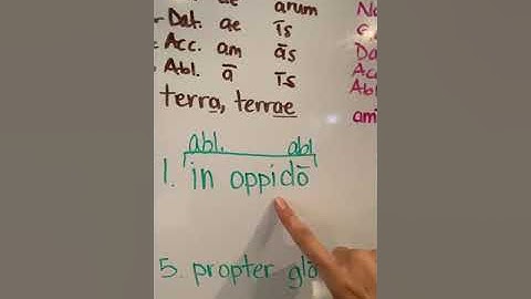 Week 3: Prepositions: Ablative or Accusative?