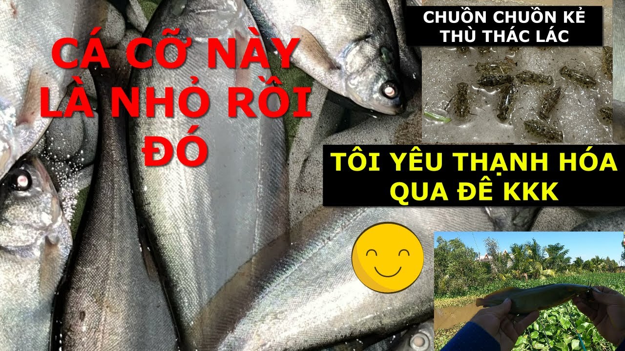 CÂU THÁC LÁC CÓ CHUỒN CHUỒN TRONG TAY NHƯ HỔ THÊM CÁNH VẬY ĐÓ 🤣🤣🤣