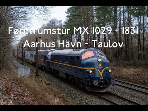 MX 1029 + 1831 - Cab video - Port of Aarhus - Taulov (Maersktog) - 12-06-2024