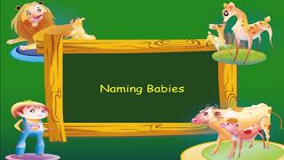 Naming Words | Kriti Educational Videos class-2