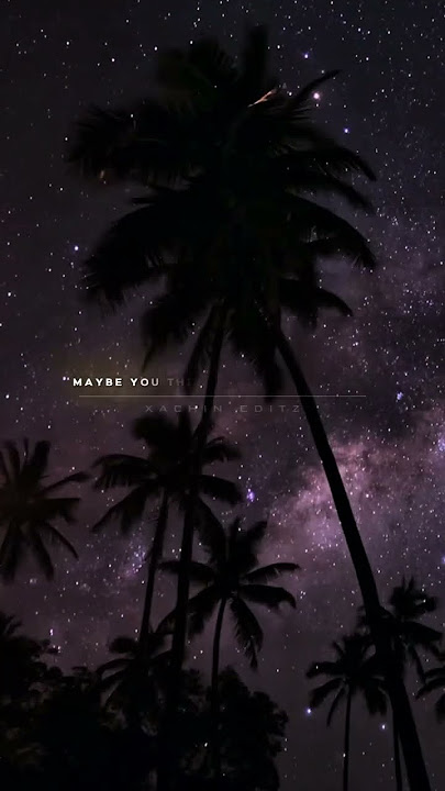 Animals x Starboy Lyrics || Slowed Status Short || Xachin Editz ♥ #lyrics #animals #starboy #shorts