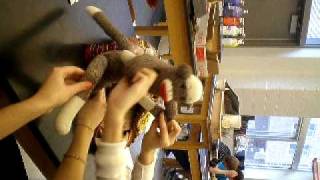 Sock Monkey Dance