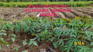 Walk Nice Holiday To Cava Garden In Samboja.
