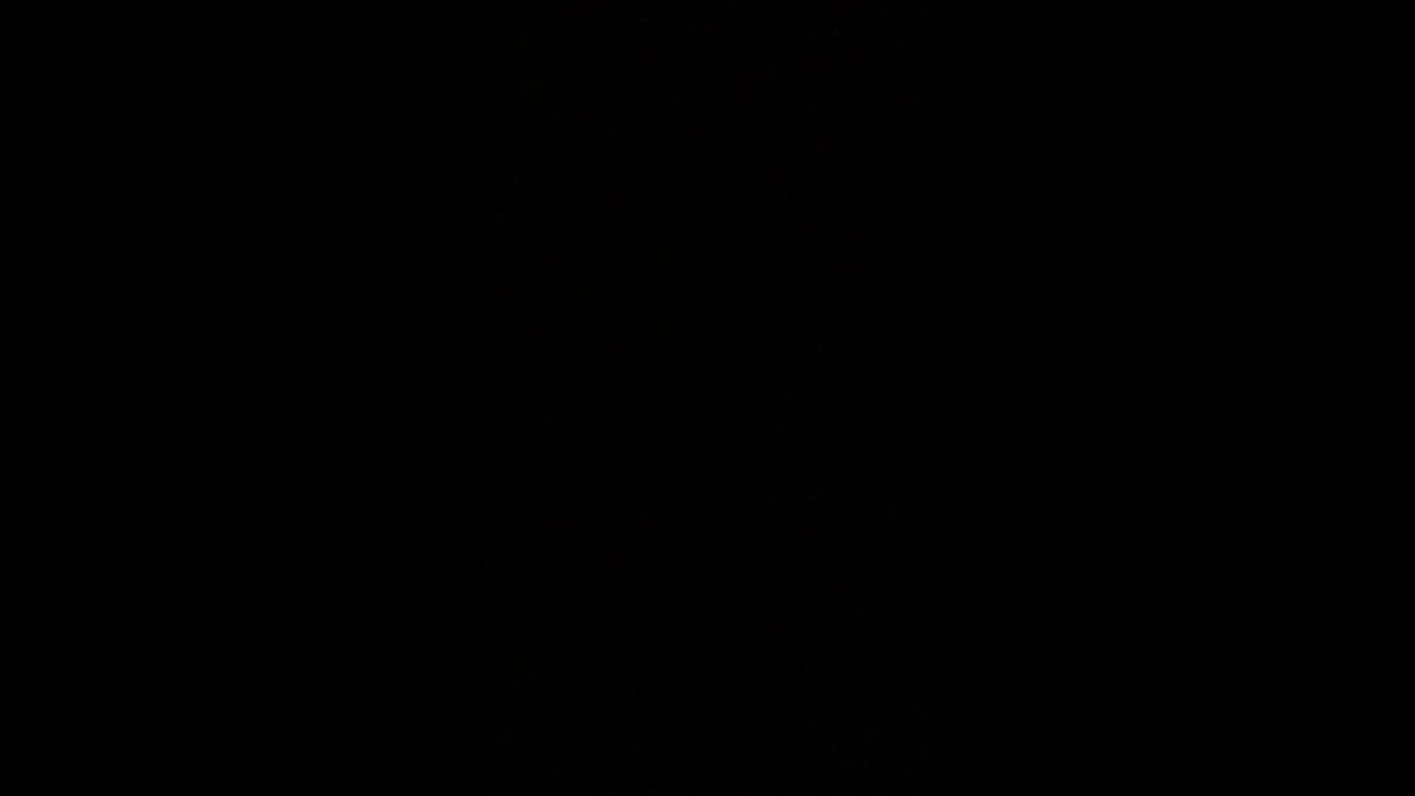 Souls United choral group, Percussion Orchestra of Kingston plus Alvin