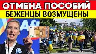 ОТМЕНА ПОСОБИЙ в ГЕРМАНИИ для Украинских БЕЖЕНЦЕВ! БЕЖЕНЦЫ В ШОКЕ! Срочные Новости Германии Сегодня
