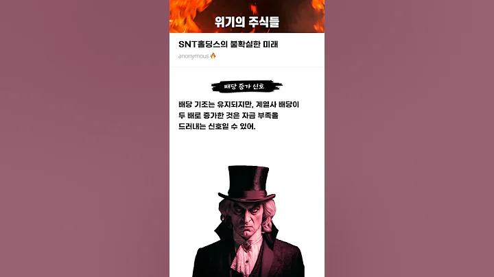 SNT홀딩스의 불확실한 미래 #20250604#SNT홀딩스#위기의주식들