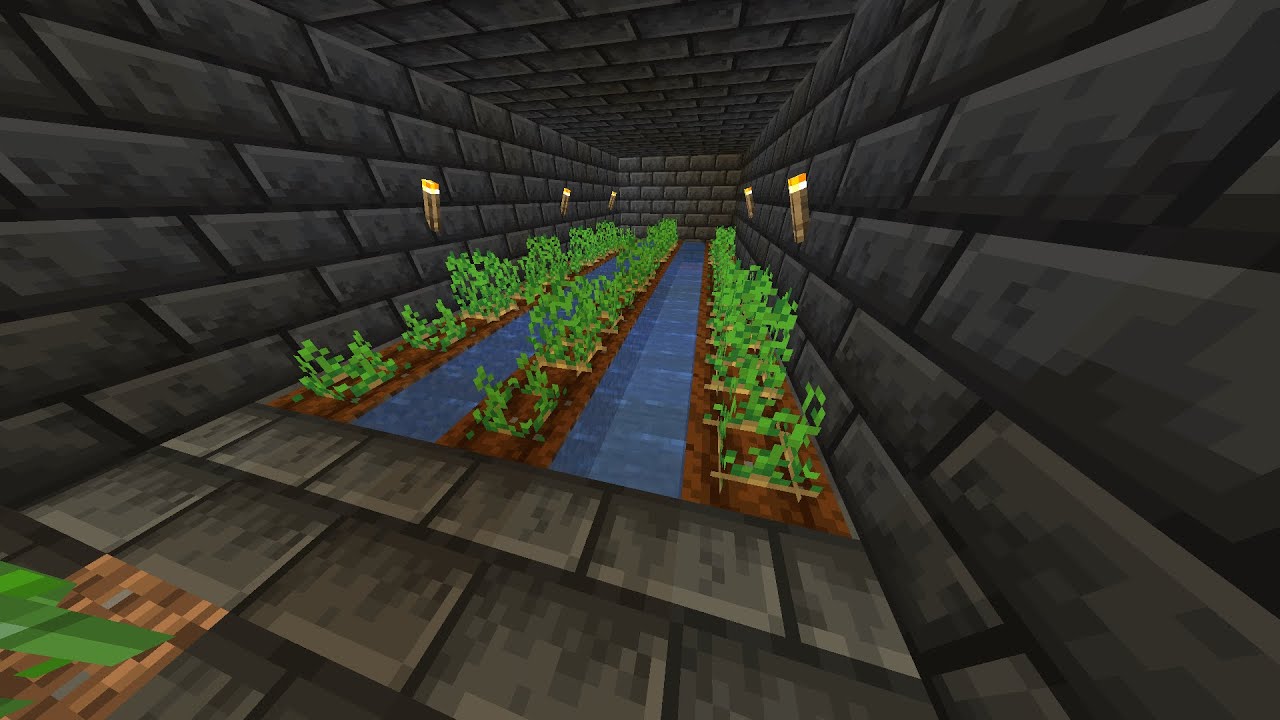 just playing on the core smp - YouTube