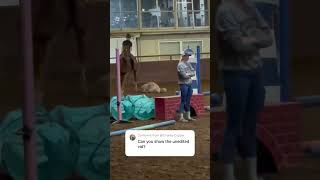 #horse #equestrianjourney #fail #raw #fall #equestrian #horseenthusiast #jump #gallop #horsefall
