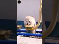 Funny Dog Video 😀😄 #youtubeshorts #viralvideo #cartoon #shorts