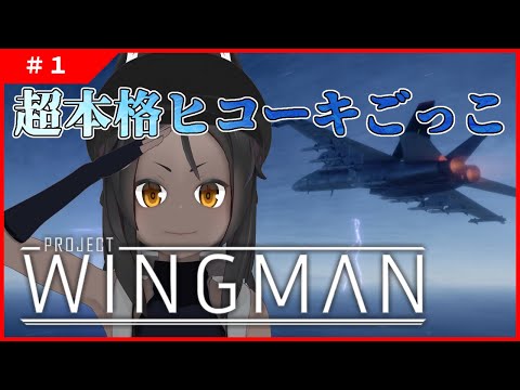 【Project Wingman #1 】超本格的ヒコーキごっこ。【フライトSTG】
