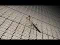 Slo-Mo Yo: Episode 2 - Bugs Edition!  -  Slow-Motion Insect Montage